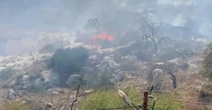 مستعمرون يحرقون أراضي في بلدة الكرمل جنوب الخليل